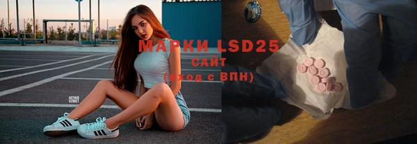 индика Балабаново