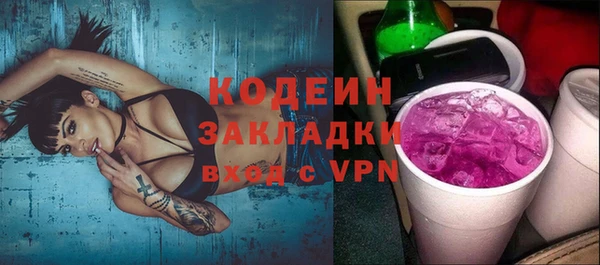 индика Балабаново